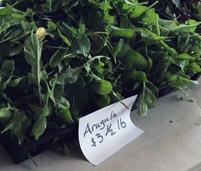 Market Greens - Arugula