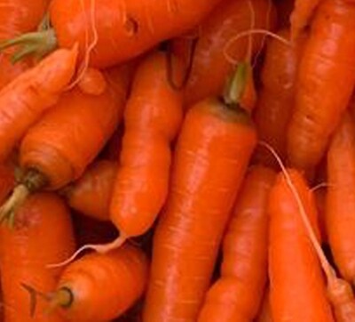 Organic Carrots