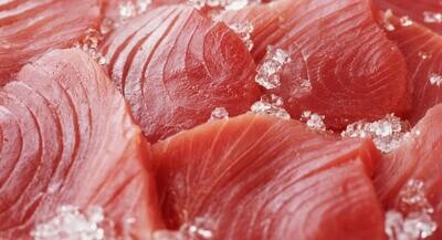 Verse tonijnsoorten