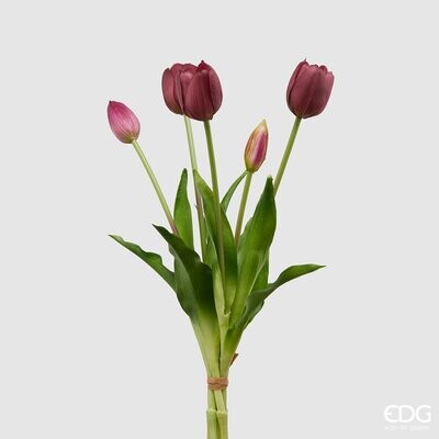 Mazzo tulipani gomm.Olis 5 pz H40 col.viola Edg Enzo De Gasperi