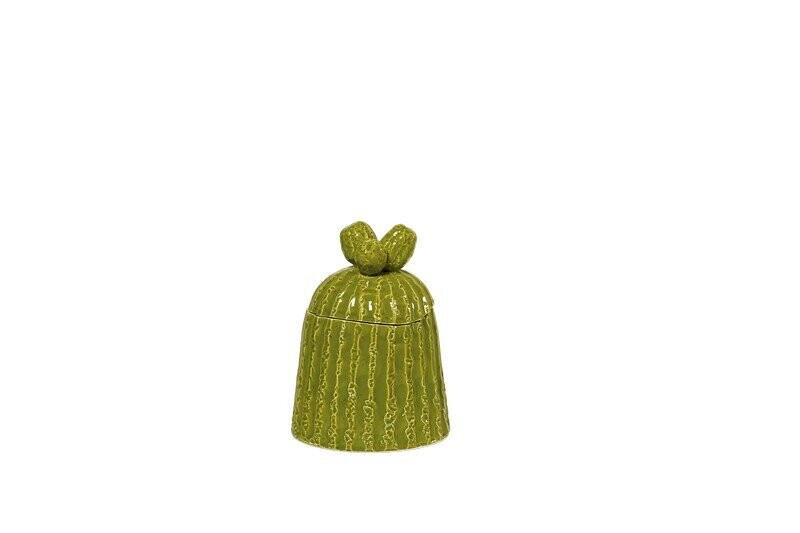 Barattolo cactus piccolo h.18 verde acido Esotica Virginia Casa