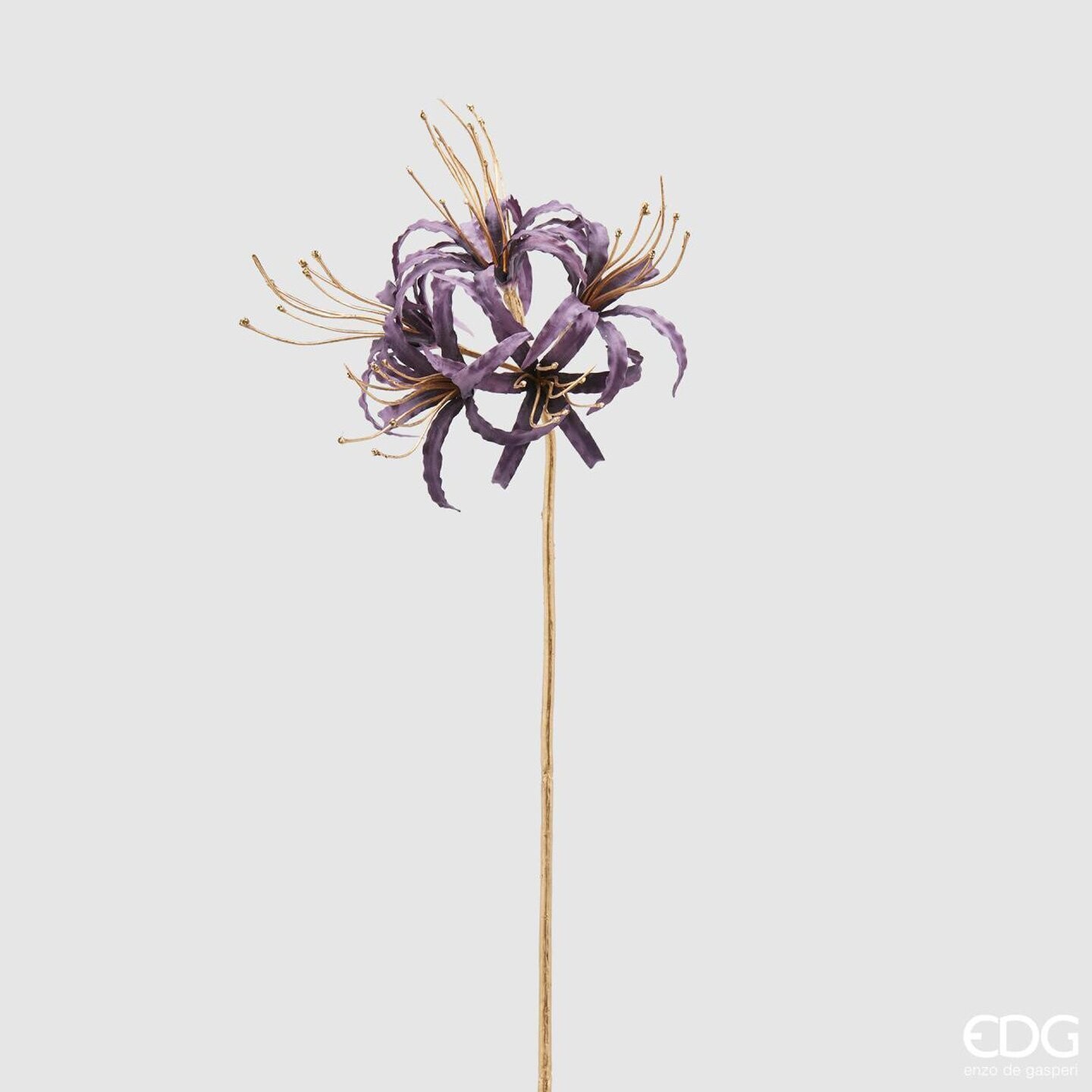 Ramo stelo oro Lycoris h.73 col.viola Edg Enzo De Gasperi