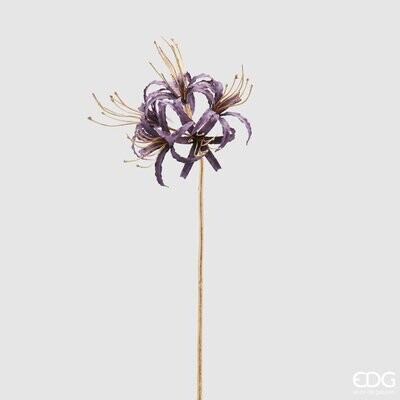 Ramo stelo oro Lycoris h.73 col.viola Edg Enzo De Gasperi