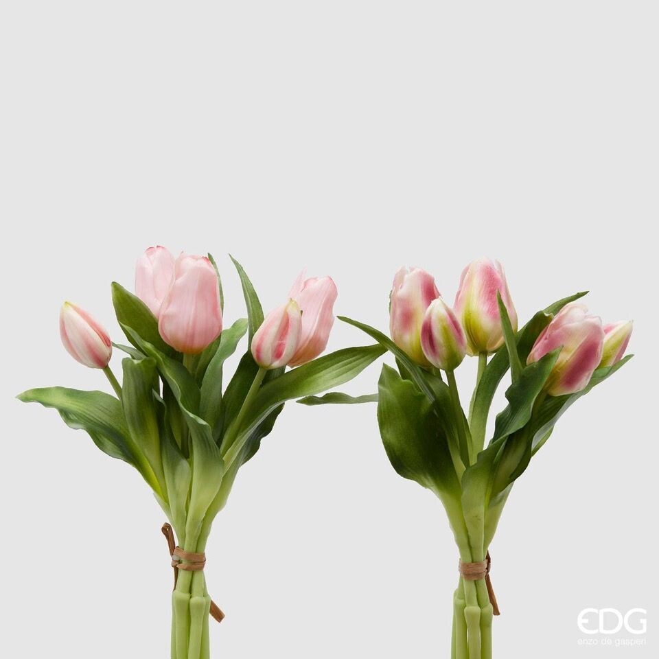Mazzo tulipani 5 pz 2 col.assortiti h.28 Edg Enzo De Gasperi