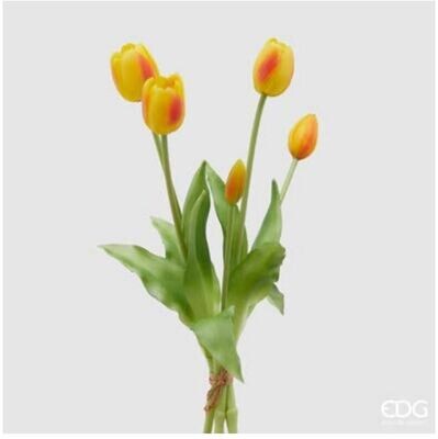 Mazzo tulipani gomm.Olis 5 pz H40 col.giallo/rosso Edg Enzo De Gasperi