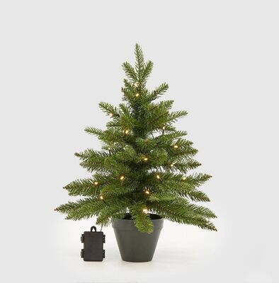 Pino mix con led con vaso pvc h.60 Edg Enzo De Gasperi Pino mix con led con vaso pvc h.60 Edg Enzo De Gasperi