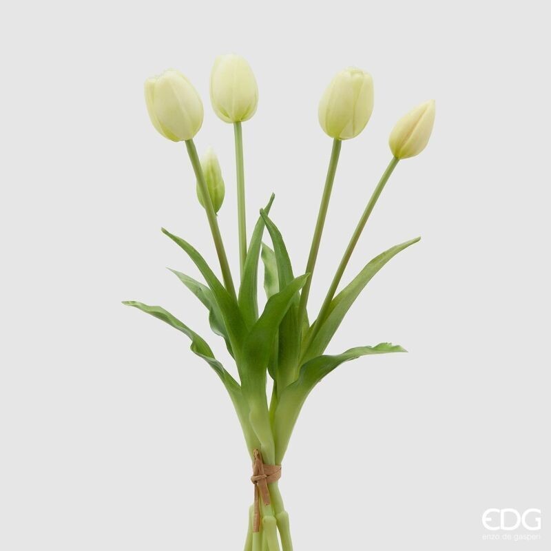 Mazzo tulipani gomm.Olis 5 pz H40 col.panna Edg Enzo De Gasperi