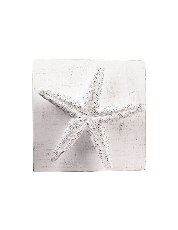 Placca da muro Stella marina col.bianco 20x20 Virginia Casa