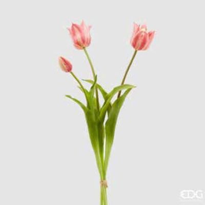Mazzo tulipani aperti gomm.Olis 3 pz h.48 col.pink cream Edg Enzo De Gasperi