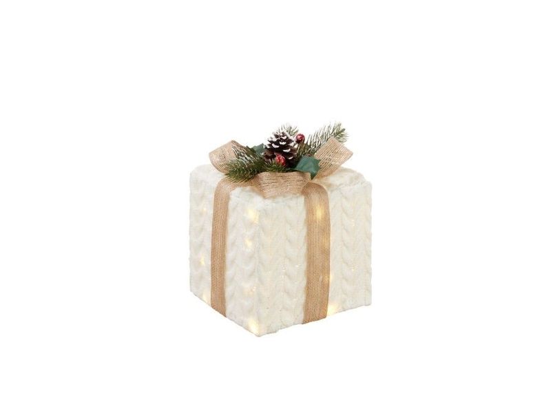 Pacco con led Doni Splendenti L'Oca Nera