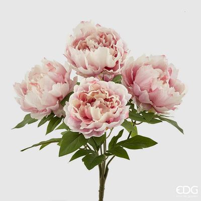 Ramo Peonia cespuglio x5 h.48 col.malva Edg Enzo De Gasperi