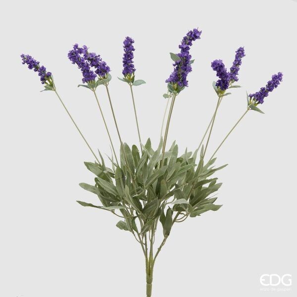 Mazzo lavanda 10 rami h.52 Edg Enzo De Gasperi Mazzo lavanda 10 rami h.52 Edg Enzo De Gasperi