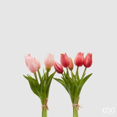 Mazzo tulipani 5 pz 2 col.assortiti h.26 Edg Enzo De Gasperi