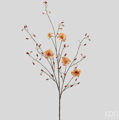 Ramo Rosa Canina Rex h.135 Edg Enzo De Gasperi Ramo Rosa Canina Rex h.135 Edg Enzo De Gasperi