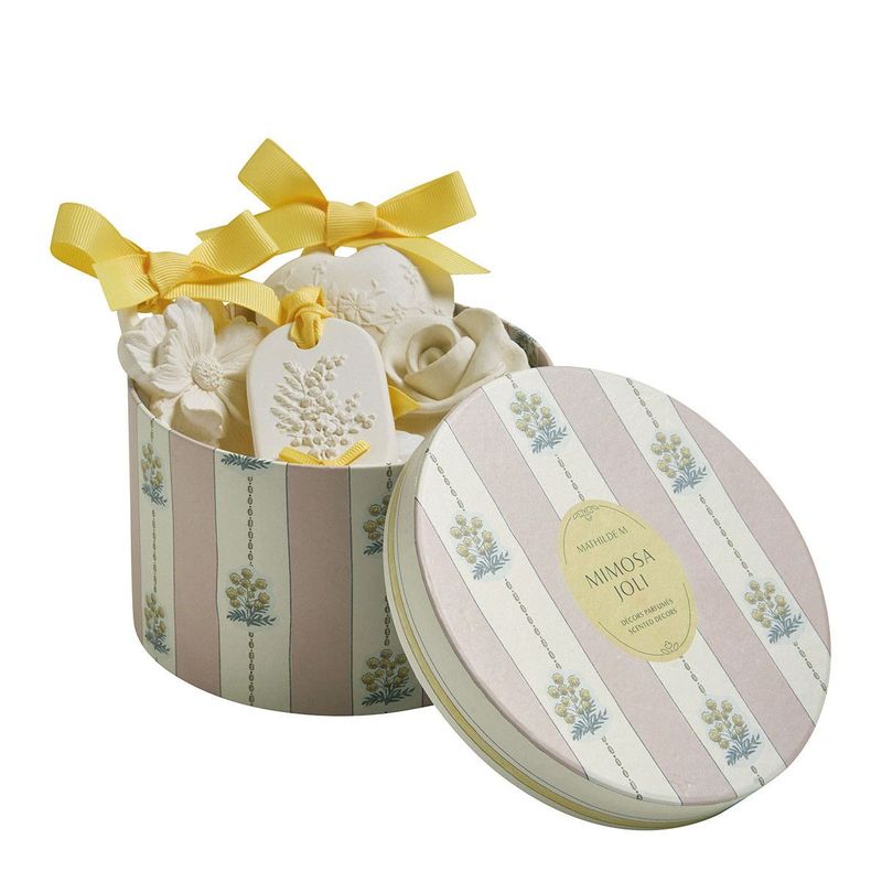 Scatola 5 gessi in scatola Mimosa Jolie Mathilde M.