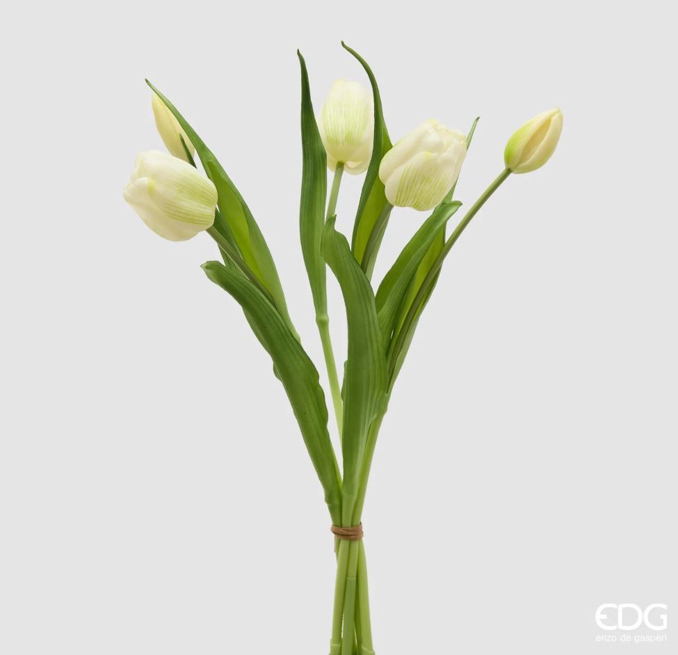 Mazzo tulipani gomm. 5 pz h.40 col.bianco Edg Enzo De Gasperi
