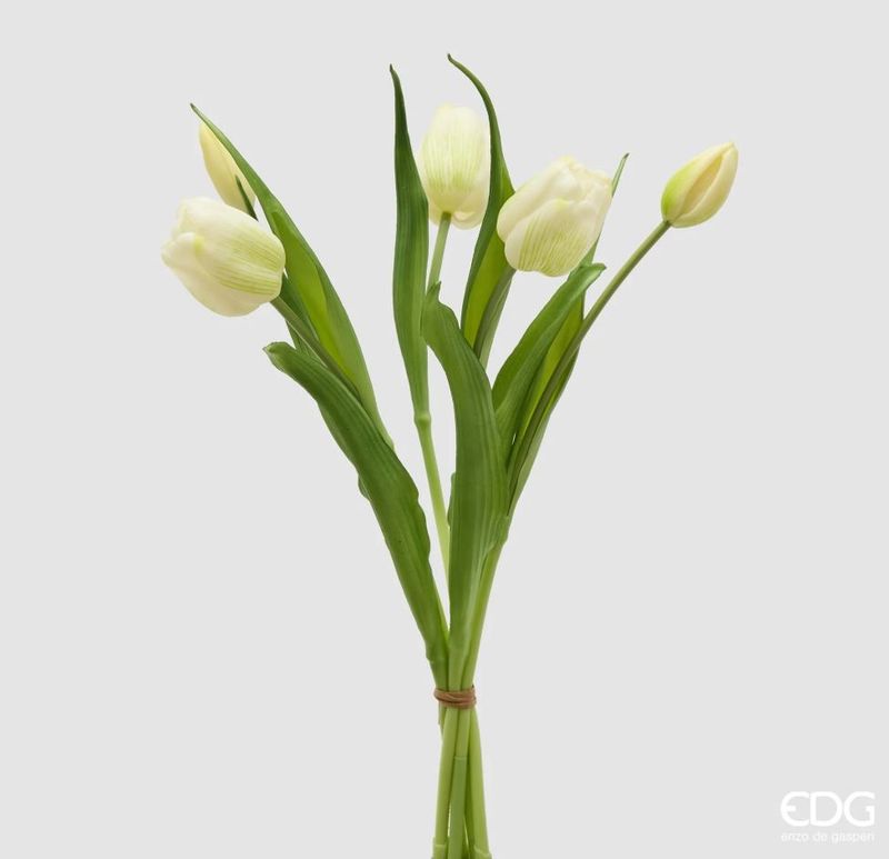 Mazzo tulipani gomm. 5 pz h.40 col.bianco Edg Enzo De Gasperi
