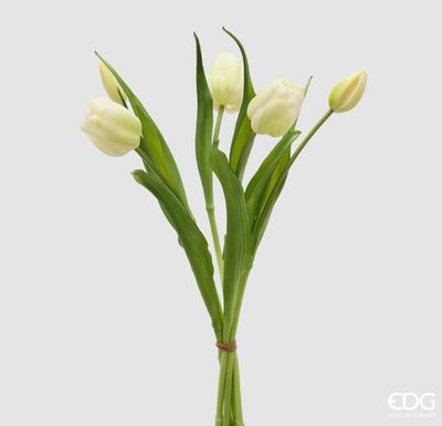 Mazzo tulipani gomm. 5 pz h.40 col.bianco Edg Enzo De Gasperi Mazzo tulipani gomm. 5 pz h.40 col.bianco Edg Enzo De Gasperi