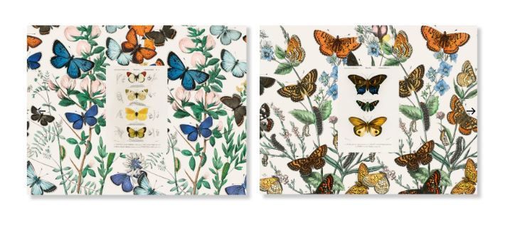 Set 2 tovagliette in cotone antimacchia Mariposa The Napking Set 2 tovagliette in cotone antimacchia Mariposa The Napking