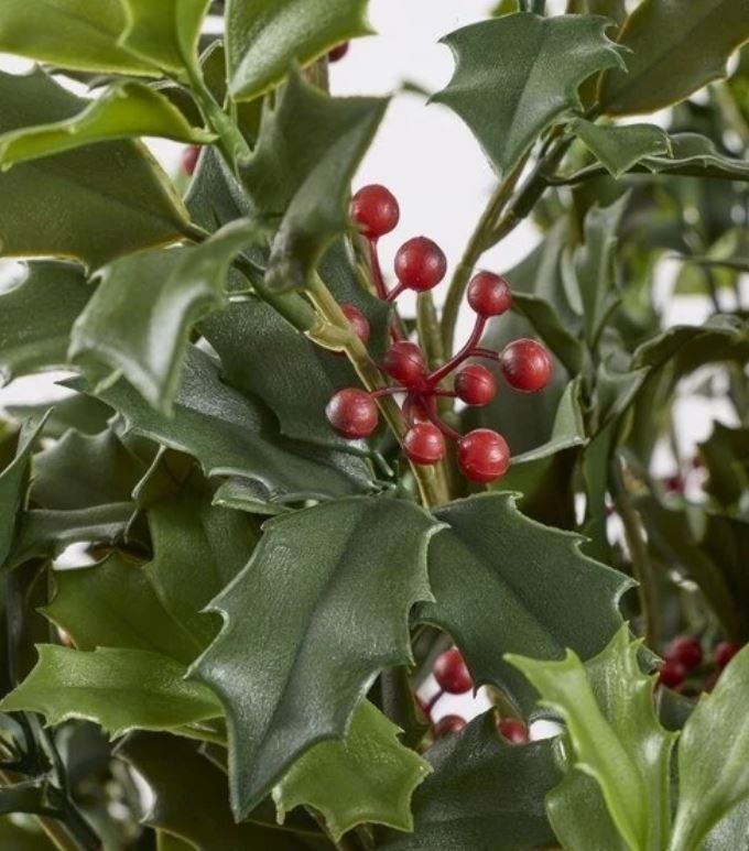 Pianta artificiale agrifoglio con bacche anti-UV h.129 Edg Enzo De Gasperi