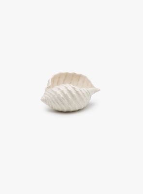 Conchiglia in ceramica 26x26x13 col.panna Shiva Ceramiche Viva Conchiglia in ceramica 26x26x13 col.panna Shiva Ceramiche Viva