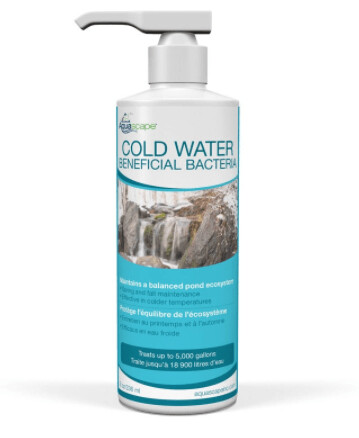 Cold Water Beneficial Bacteria