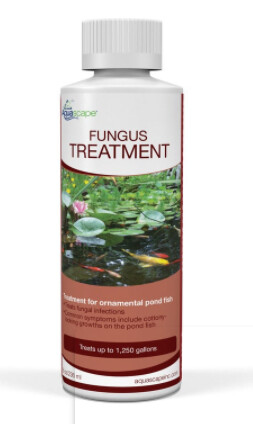 Fungus Treatment