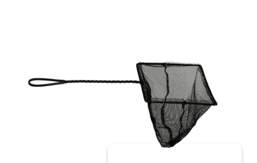 Kid's Pond Explorer Net