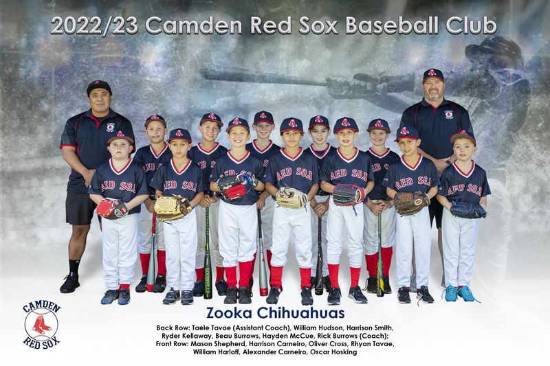 Team Photo 12x18 Inches (305mm x 457mm)