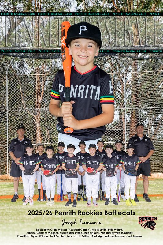 Poster 12x18 Inches (305mm x 457mm)