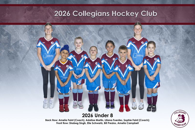 Action Package &amp; Team Photo 12x18 Inches (305mm x 457mm)