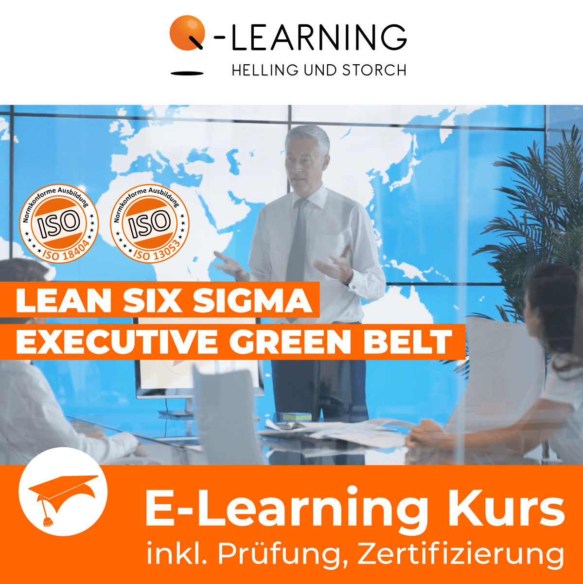 LEAN + SIX SIGMA EXECUTIVE GREEN BELT E-Learning