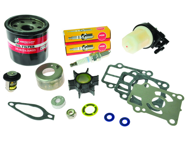 KIT TAGLIANDO 300 HR  F25/30 Hp Standard