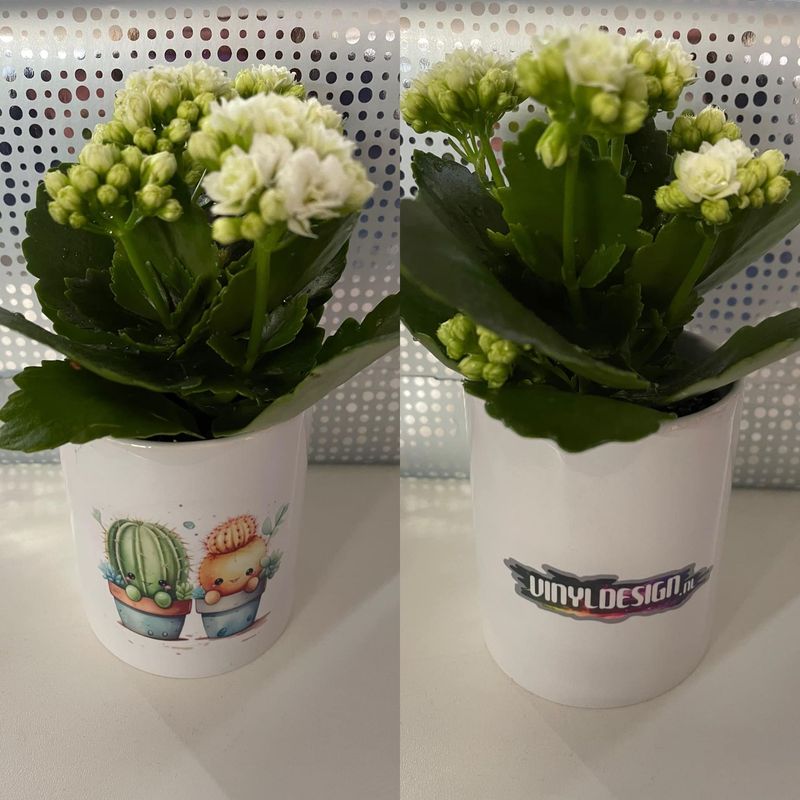 Keramisch Planten / Pennen bakje met eigen ontwerp