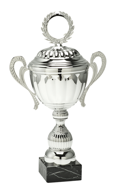 Medium Trophy