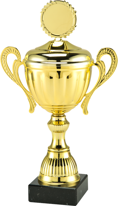 Small Gold Trophy 31cm