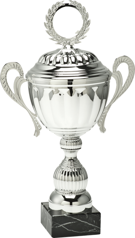 Small Trophy 31cm