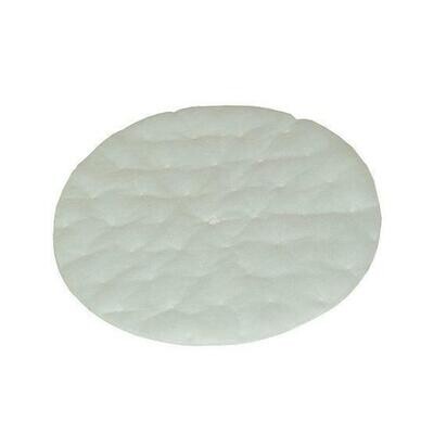 ProTeam Vacuum 102761 High Filtration Discs for Dome Filter, Fits Canisters, TailVac (2 pk.)