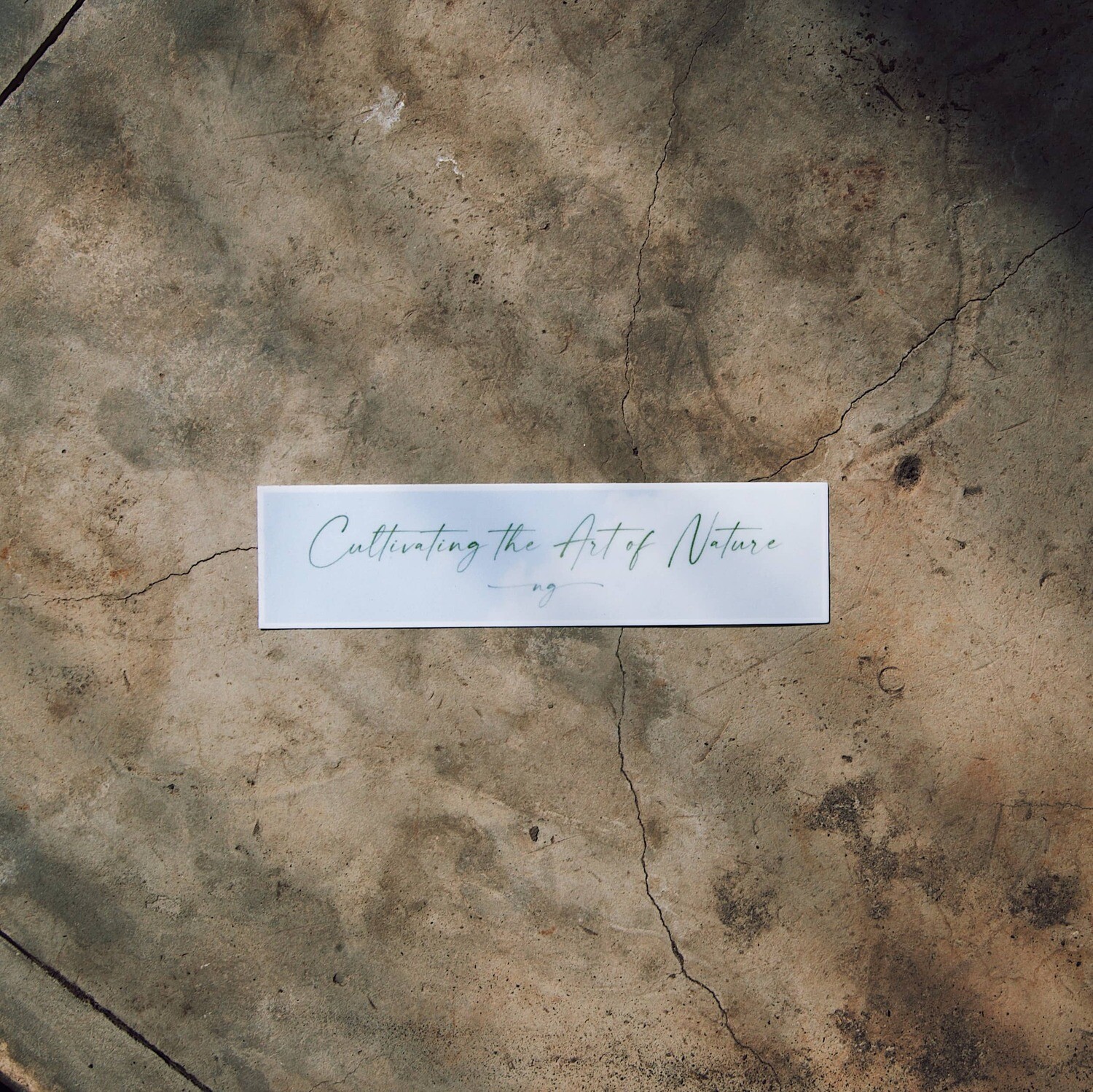 Blue Sky - Cultivate Sticker