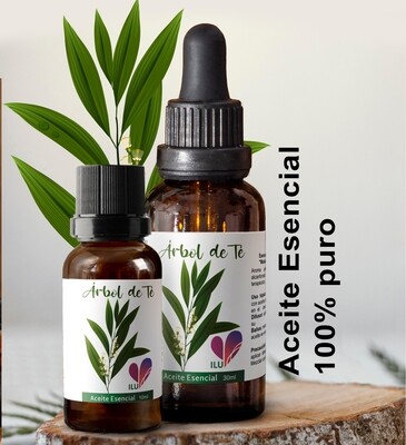 Aceite esencial de Árbol de Té