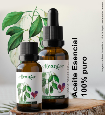 Aceite esencial de Alcanfor