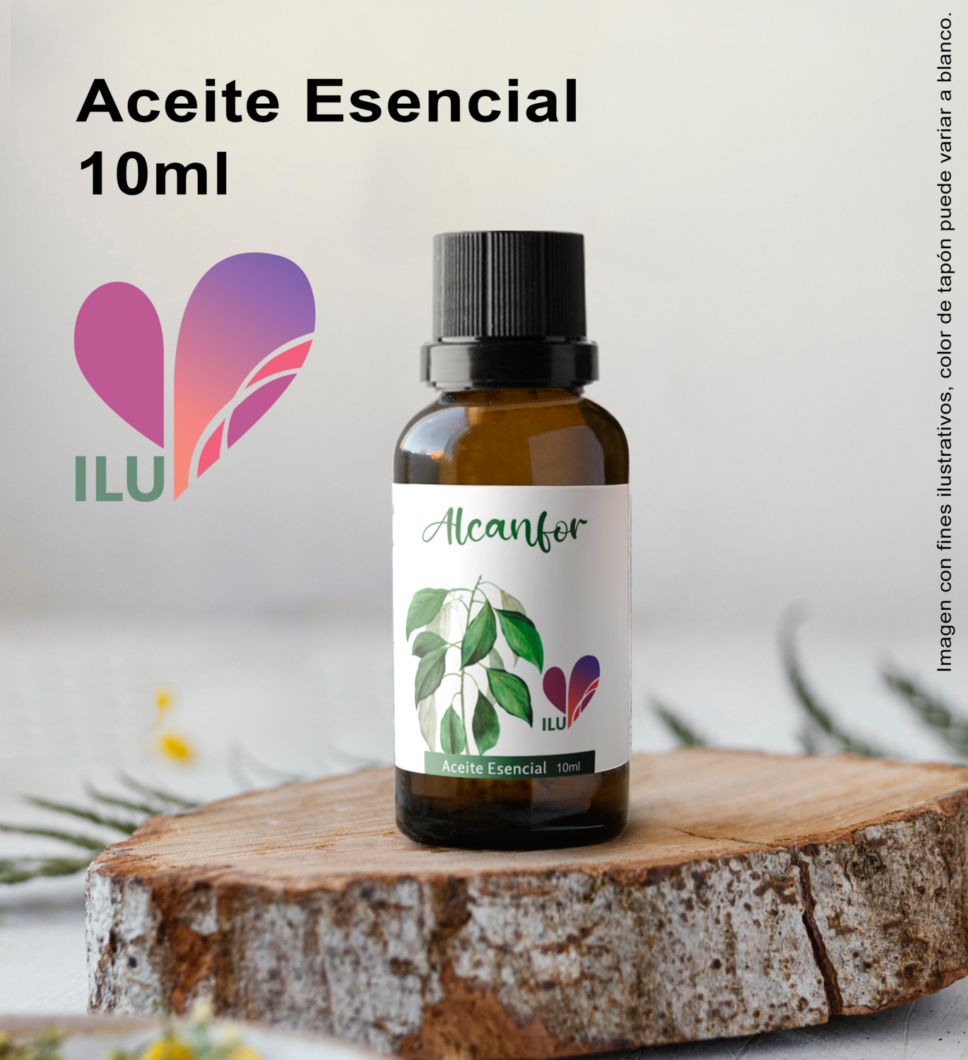 Aceite esencial de Alcanfor