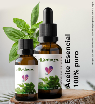 Aceite esencial de Albahaca