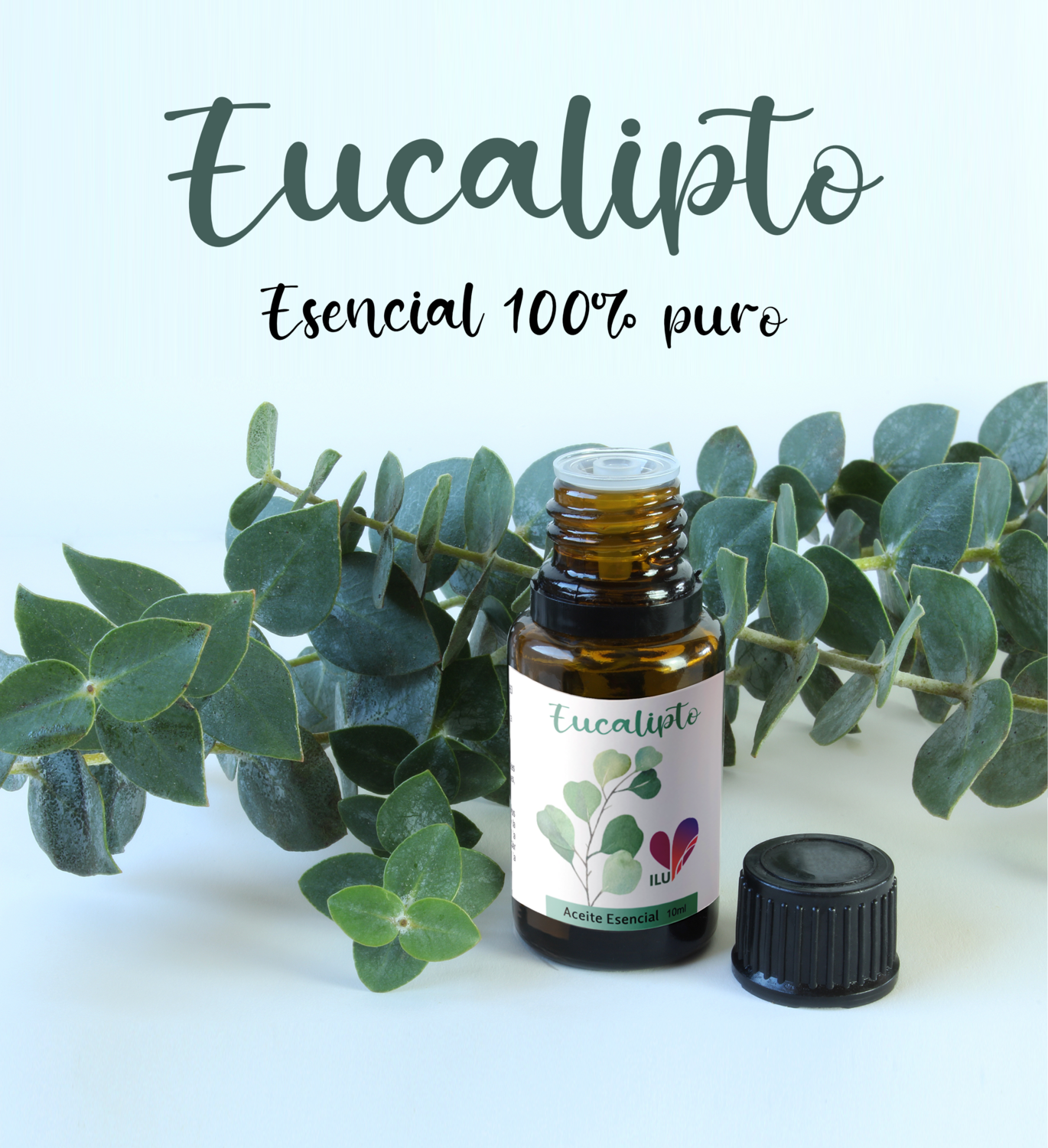 Aceite esencial de Eucalipto