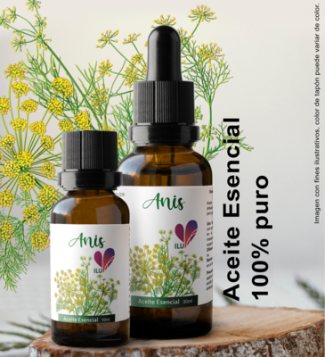 Aceite esencial de Anis &quot;Planta&quot;