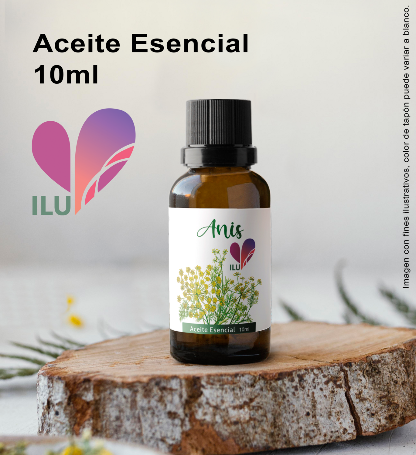 Aceite esencial de Anis &quot;Planta&quot;
