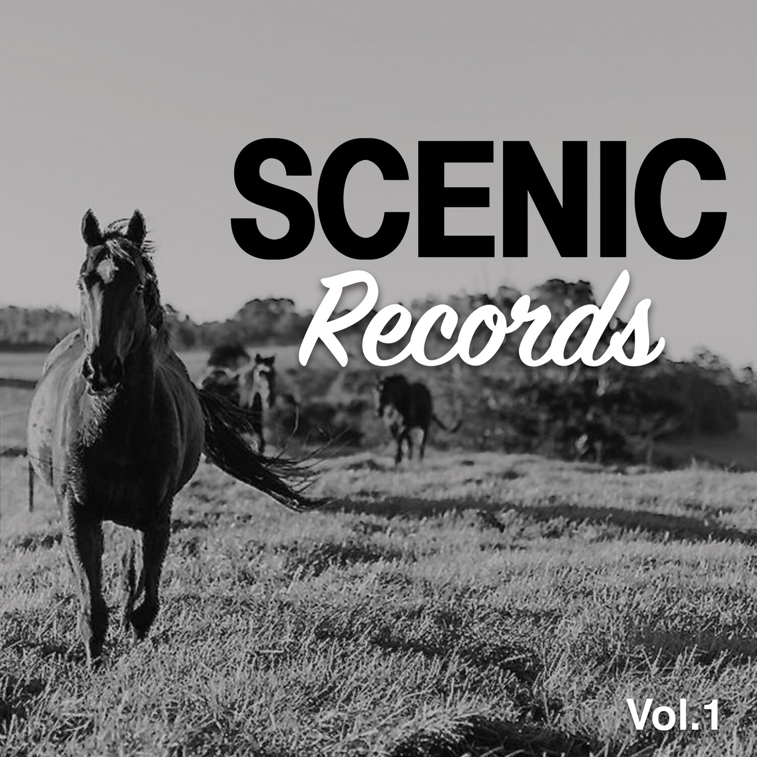 Scenic Records Vol.1