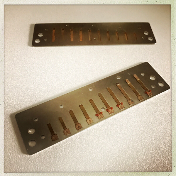 Plaques ARKIA Origin - Reedplates