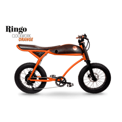 Rayvolt Ringo V2 electric bicycle with suspension fork