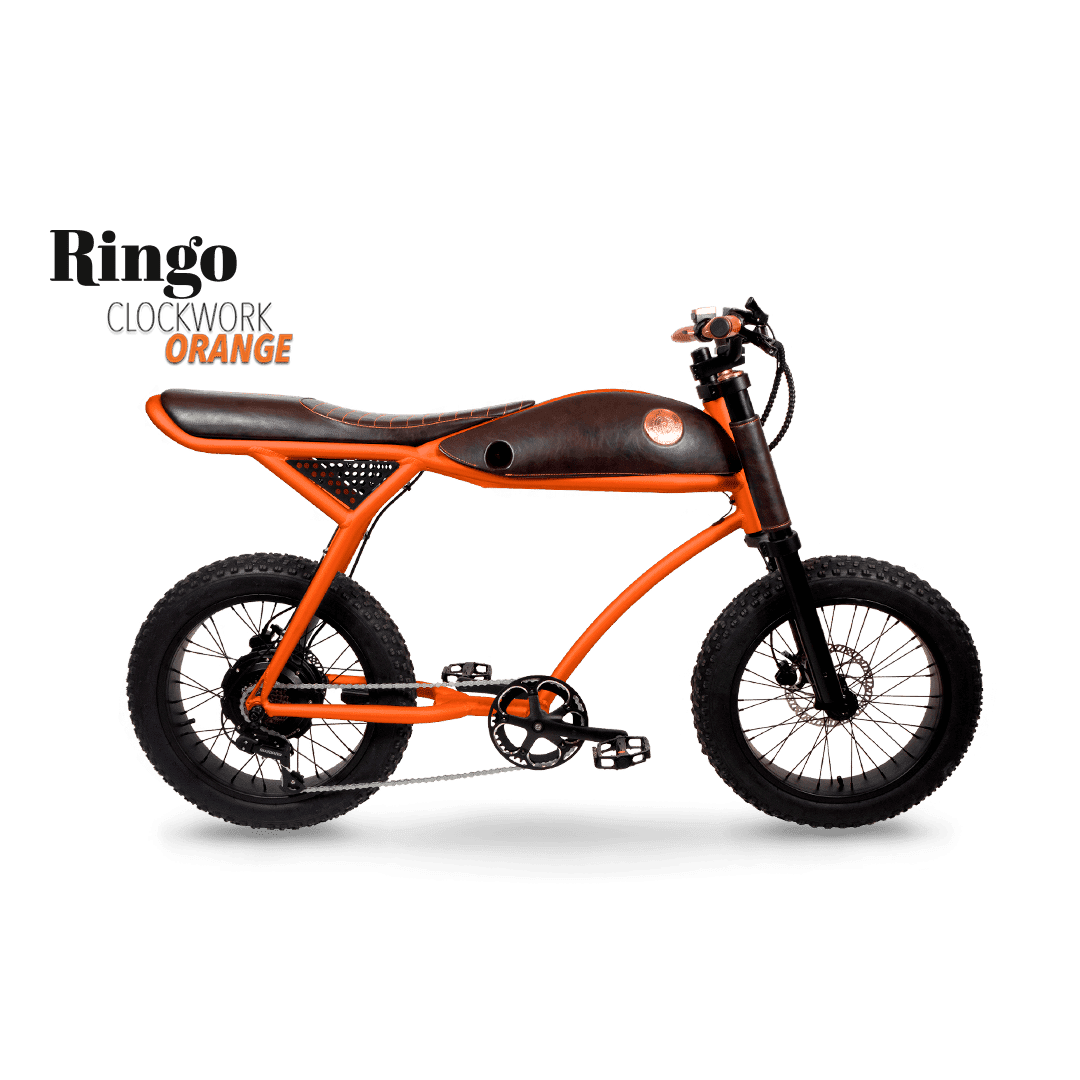Rayvolt Ringo V2 electric bicycle with suspension fork